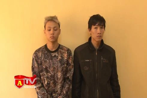 Hai anh em họ rủ nhau đi cướp giật tài sản