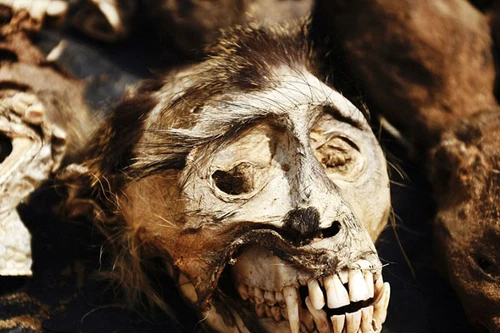 Chùm ảnh rùng rợn ở chợ bán “thần dược tình yêu” lớn nhất thế giới