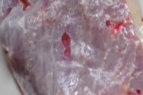 Xem miếng thịt “nhảy múa”, nhiều facebooker chuyển sang ăn chay