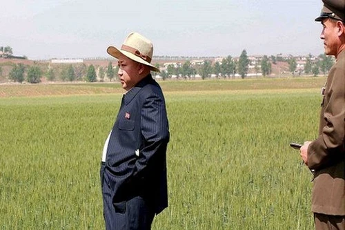 Triều Tiên đối mặt với nạn hạn hán tồi tệ nhất trong 100 năm qua