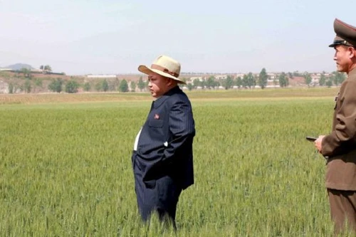 Trung Quốc hứa hẹn giúp Triều Tiên chống hạn hán