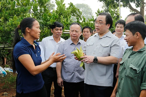 Huyện Hoài Đức phấn đấu lên quận vào năm 2020