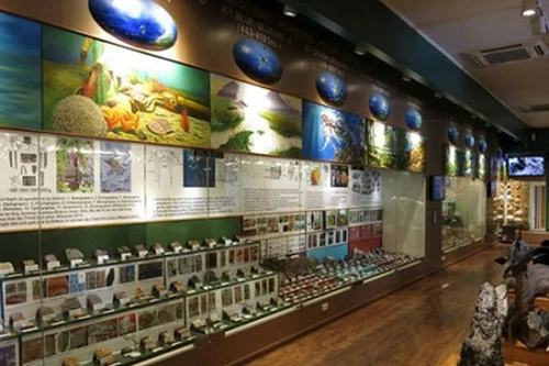 340 tỷ đồng xây dựng bộ mẫu vật thiên nhiên Việt Nam