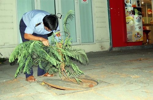 Bẫy trên vỉa hè 