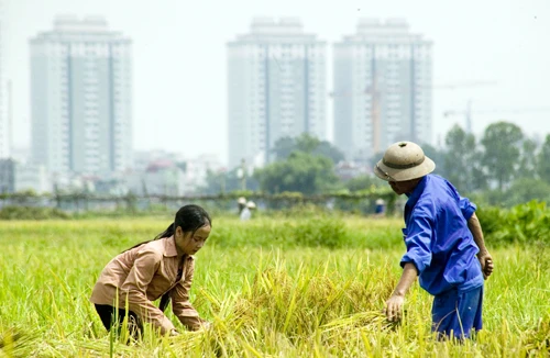 Thanh tra Chính phủ: Sai đâu phải sửa đó!