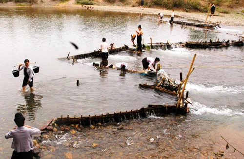 Lạc vào Than Uyên - Cánh đồng cổ tích