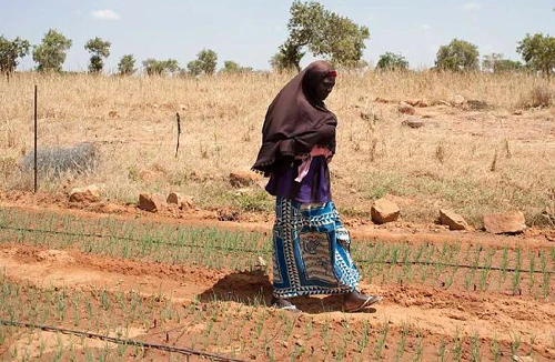 Năm 2013 sẽ nóng kỷ lục 