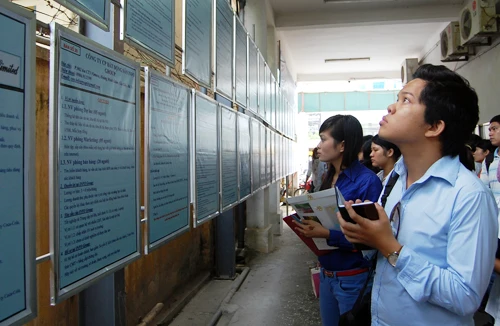 Chới với cơ hội việc làm 