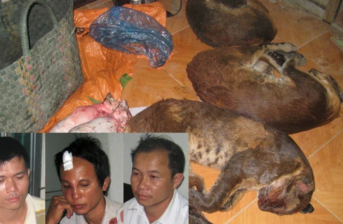 Màn “trận giả” bất thành 