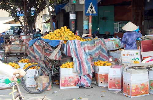 Bất lực với chất lượng rau quả nhập khẩu