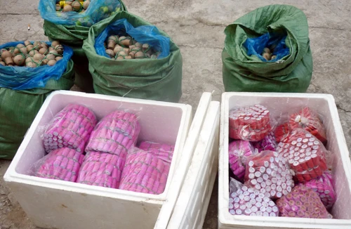 Bắt 2 nhóm đối tượng buôn bán, vận chuyển hơn 140kg pháo