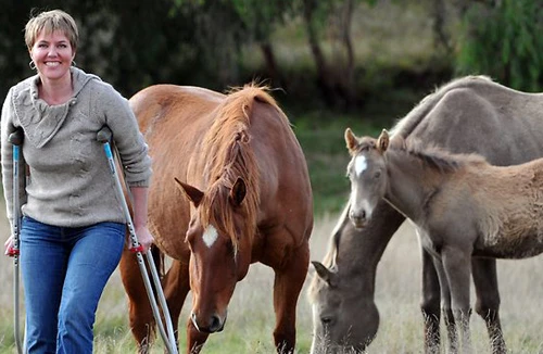 Giành lại sự sống nhờ máu bò 