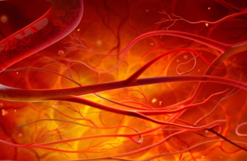 Đột phá trong y học: In 3D