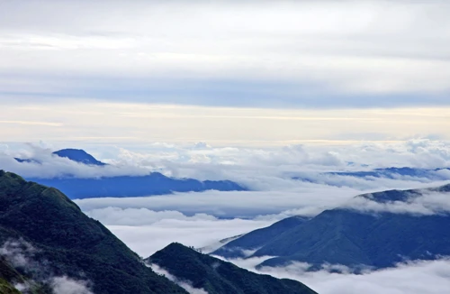 Y Tý mùa “săn” mây 