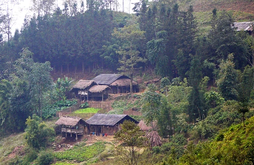 Sơn Vĩ - bức tranh tuyệt mỹ