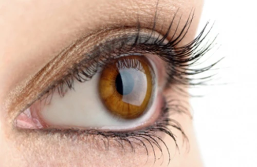 Chẩn đoán bệnh tâm thần phân liệt qua chuyển động của mắt 