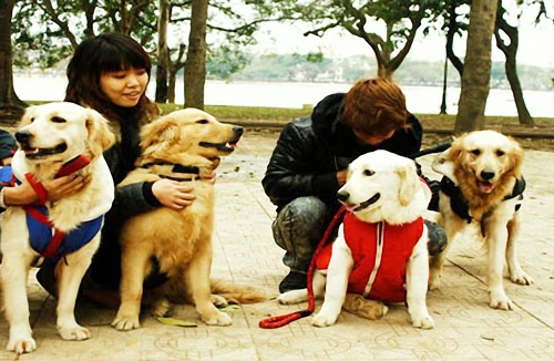 “Đeo số” cho chó, mèo