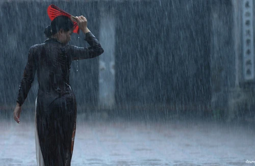 Miệt mài đuổi theo những “bóng hồng” 