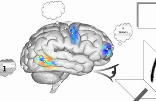 Não nhân tạo thông minh nhất 