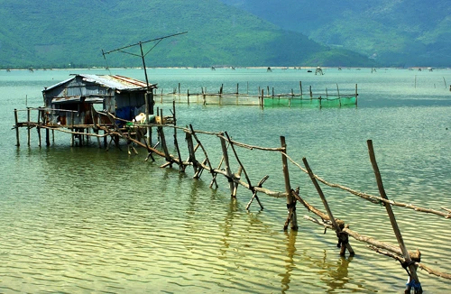 Chiều trên phá Tam Giang 