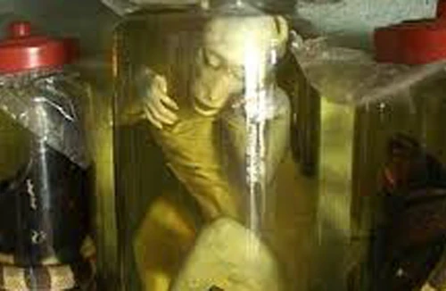 322 triệu đàn ông yếu sinh lý và những món ăn… kinh sợ 