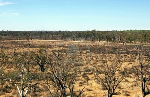 Cơn “sóng thần lặng lẽ” 
