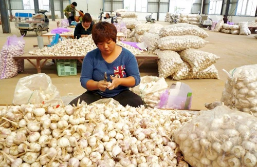 Hàng hóa Trung Quốc nhập vào châu Âu: “Của rẻ là của ôi” 