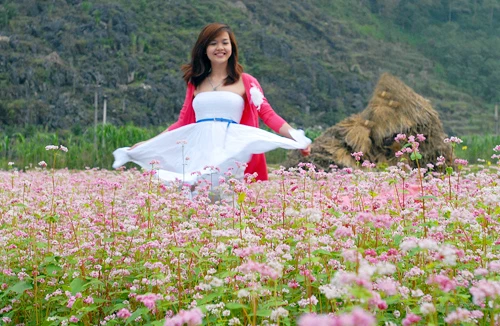 Cao nguyên đá mùa hoa tam giác mạch 