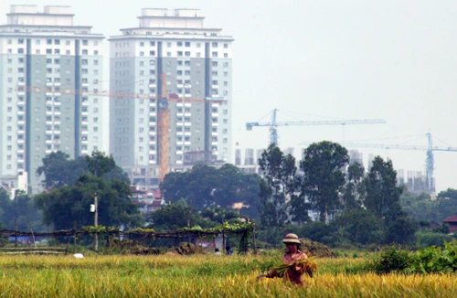 Cần sớm ban hành Luật Đất đai (sửa đổi) để giảm khiếu nại tố cáo