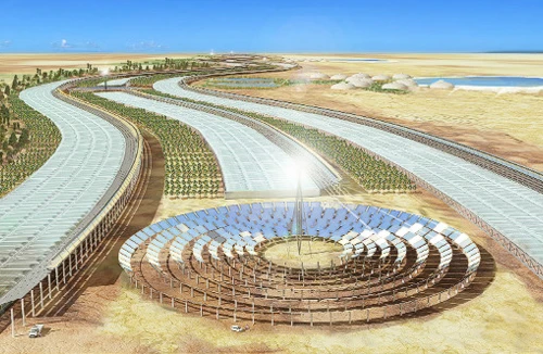 Hồi sinh vùng “đất chết” 