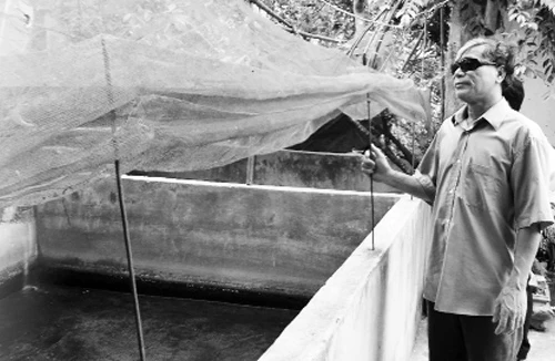 “Ông vua ếch” và cặp mắt sáng ngược vào trong