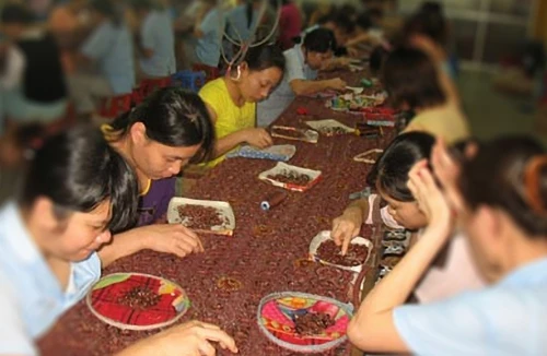 Tệ nạn mại dâm: Xử nặng kẻ kinh doanh