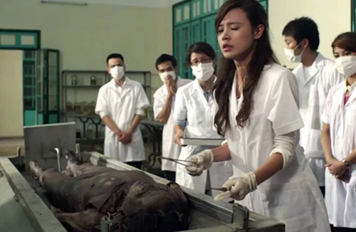 Đợi “Mùa hè lạnh” 