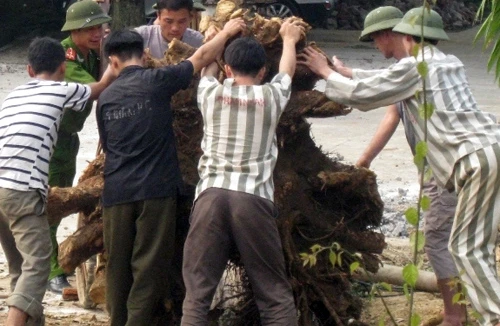 Thầm lặng những người “thầy” 