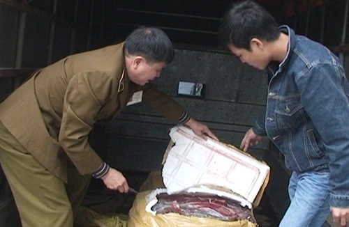 Chặn nguồn nội tạng “bẩn” vào thành phố 