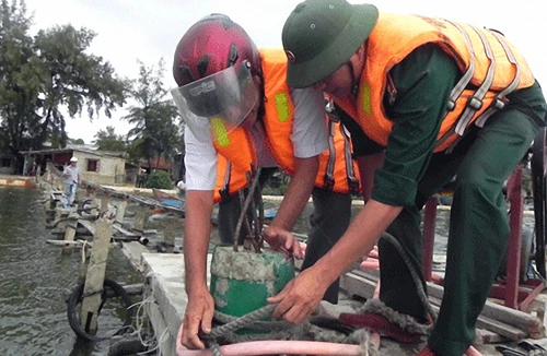 Chưa xác định được bão số 8 đổ bộ vào đâu 