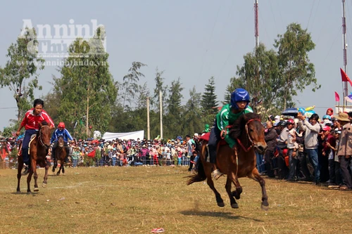 Rộn ràng Hội đua ngựa Gò Thì Thùng