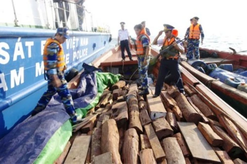 Cảnh sát biển bắt giữ tàu nước ngoài vận chuyển gỗ trái phép