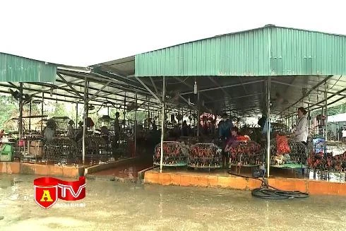 Hà Nội ra quân thanh tra an toàn thực phẩm