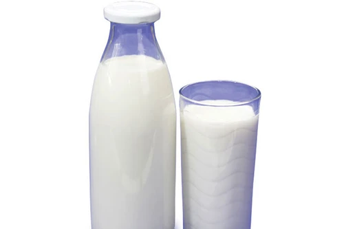 Sữa thô tiềm ẩn nhiều vi khuẩn gây hại