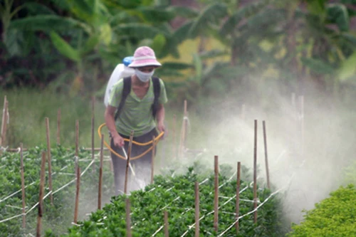 Việt Nam chi nửa tỷ USD mỗi năm nhập khẩu thuốc BVTV: Do không đủ trình độ sản xuất