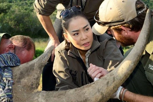 Thu Minh vào danh sách "ngôi sao" truyền cảm hứng quốc tế