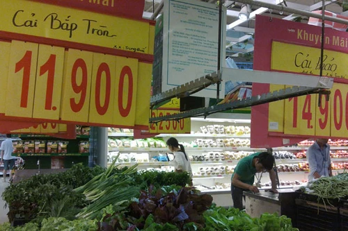 Rau cải Trung Quốc nhiễm thuốc trừ sâu vượt 8 lần cho phép