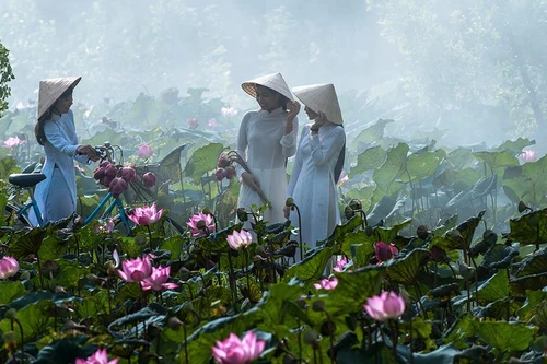 [ẢNH] Tìm lại vẻ đẹp xưa cũ bên những bức hình thiếu nữ và sen