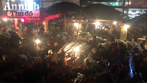 Trắng đêm ở chợ hoa Quảng Bá ngày cận Tết