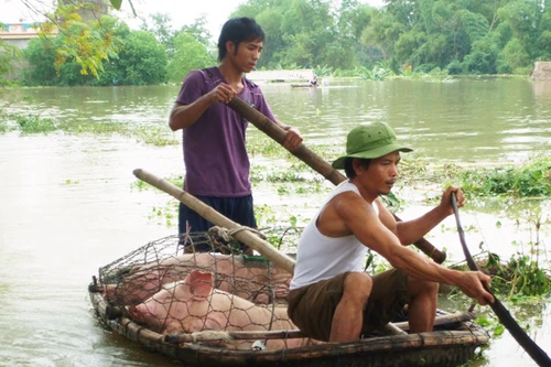 Dự báo thời tiết thiếu chính xác vì mô hình quá cũ