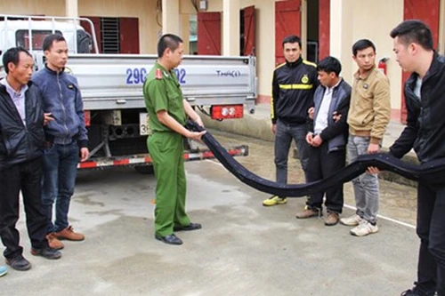  Phá chuyên án vận chuyển ma túy bằng đường biển