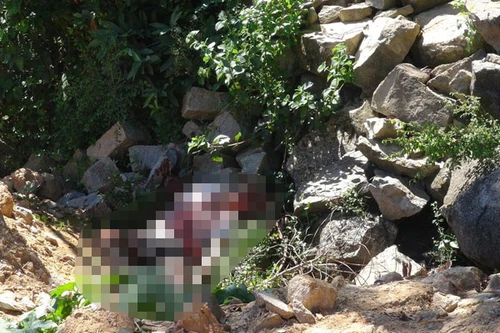 Xác chết bị bỏ bên đường