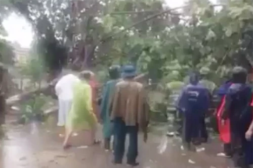 Chung sức cứu người đang đi bất ngờ bị cây đổ trúng trong mưa bão
