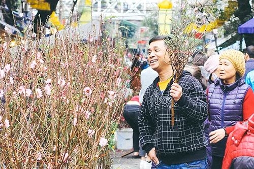 Một vòng chợ hoa Hàng Lược trước thềm Tết Đinh Dậu